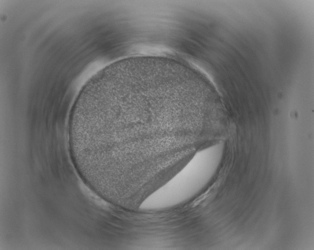 X0000065261471200603131150