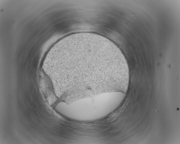 X0000065261472200603131150