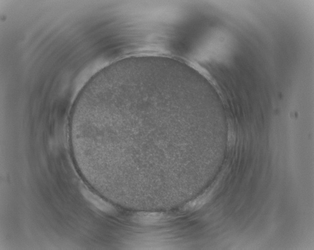 X0000065261474200603131150