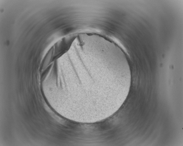 X0000065261476200603131150