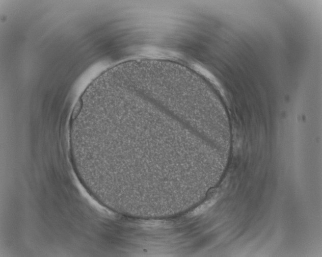 X0000065261479200603131150