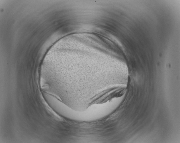 X0000065261480200603131150