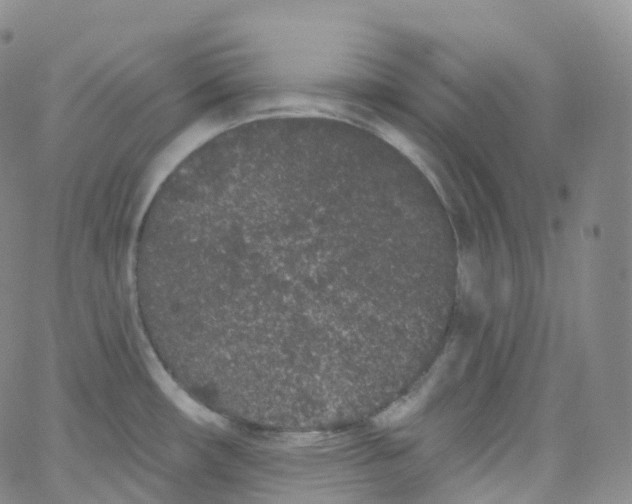 X0000065261482200603131150