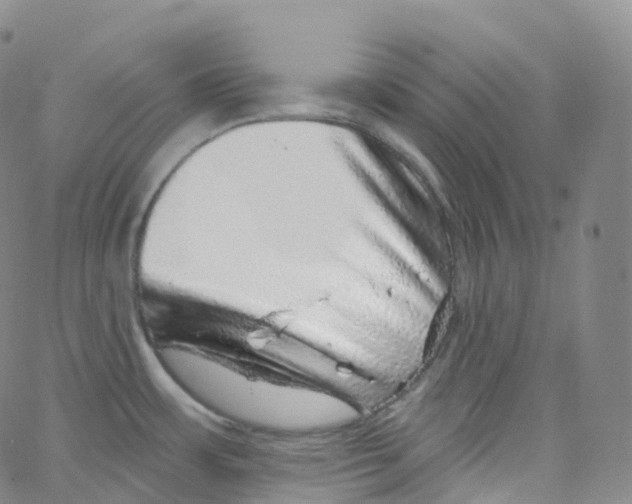 X0000065261483200603131150