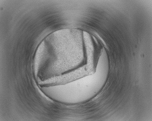 X0000065261484200603131150