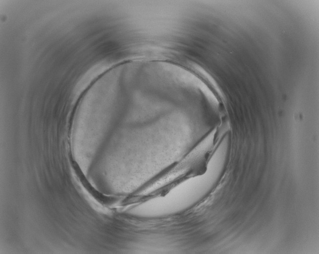 X0000065261485200603131150