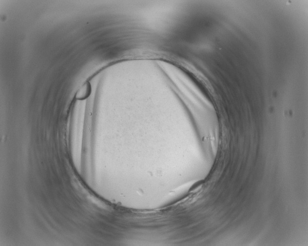 X0000065261486200603131150