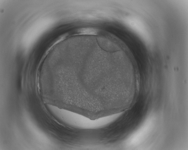 X0000065261487200603131150