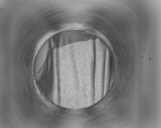 X0000065261488200603131150