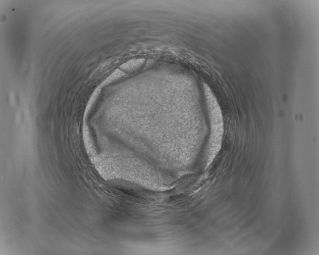 X0000065261489200603131149