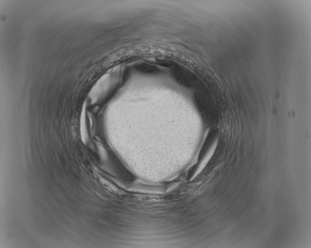 X0000065261490200603131149