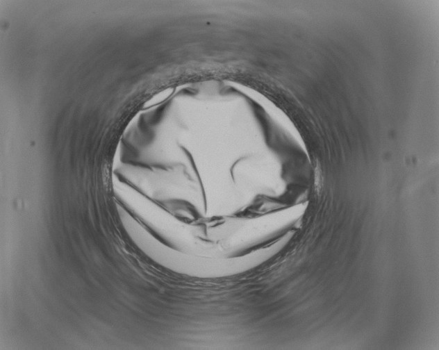 X0000065261492200603131149