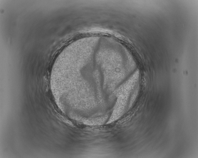 X0000065261493200603131149