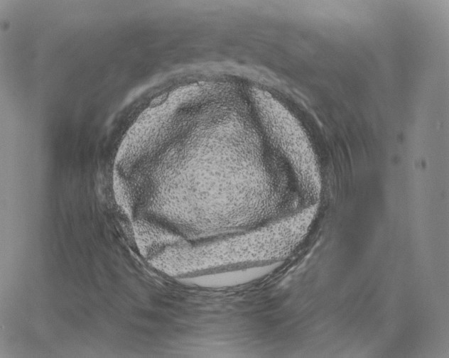 X0000065261494200603131149