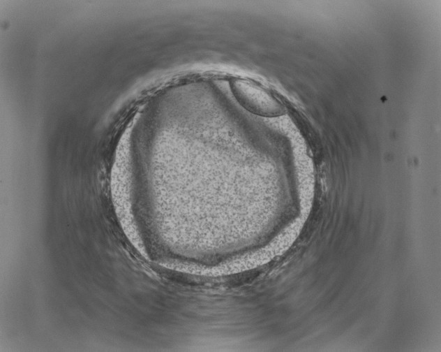 X0000065261495200603131149