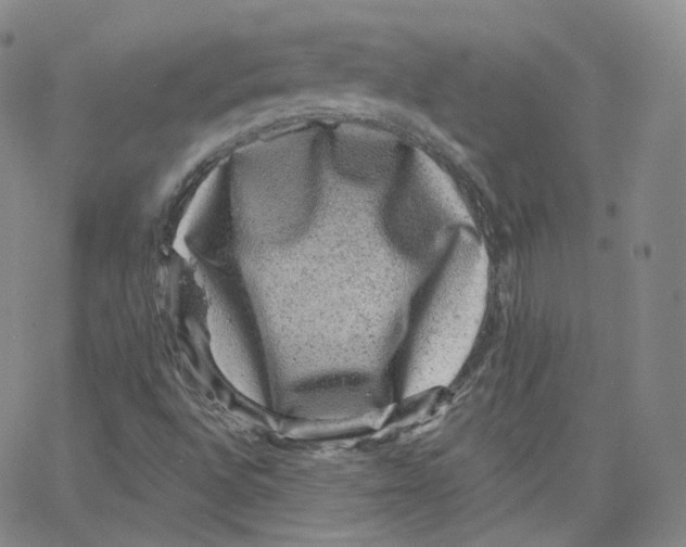 X0000065261496200603131149