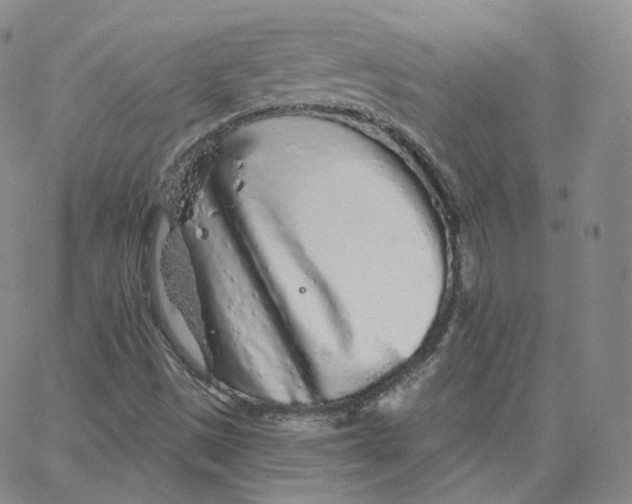 X0000065261497200603131149