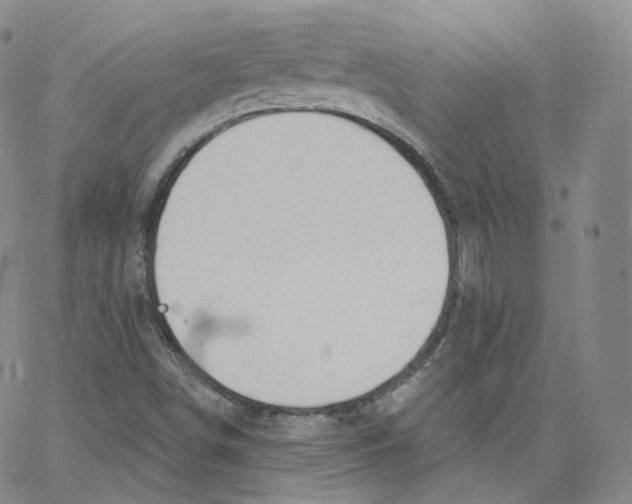 X0000065261498200603131149