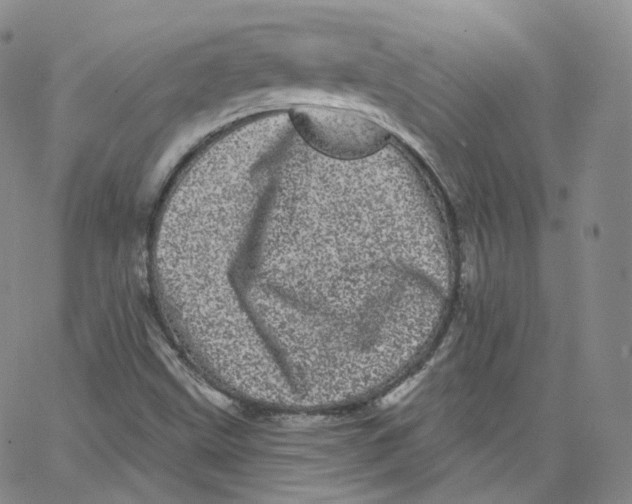 X0000065261499200603131149