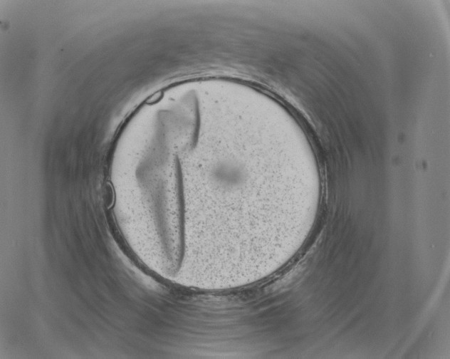 X0000065261500200603131149