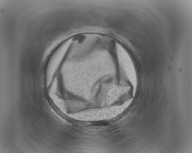 X0000065261504200603131149