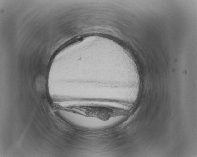 X0000065261505200603131149