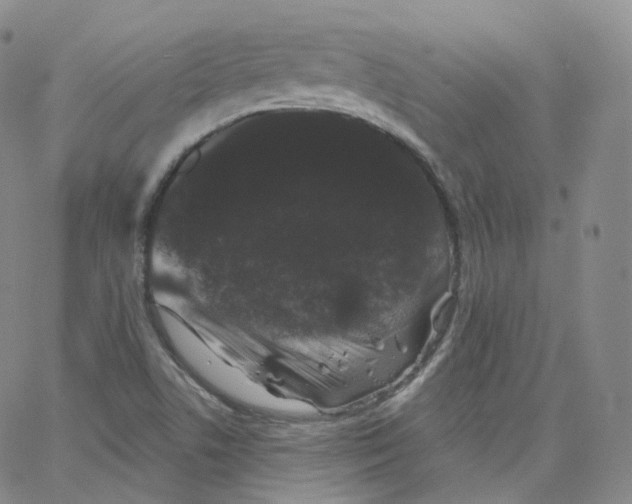 X0000065261506200603131149