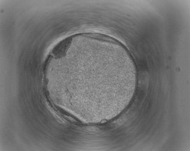 X0000065261507200603131149