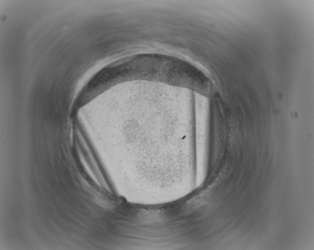 X0000065261509200603131149