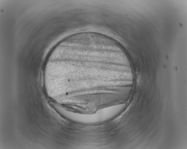 X0000065261510200603131149