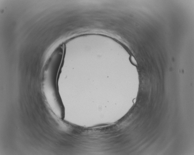 X0000065261511200603131149