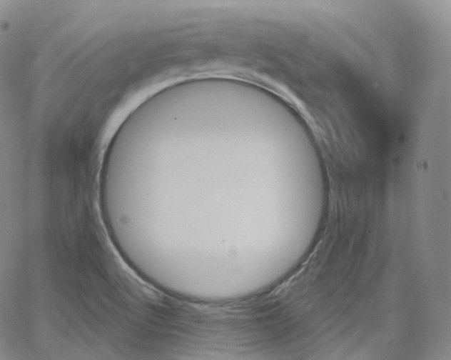 X0000065261512200603131149