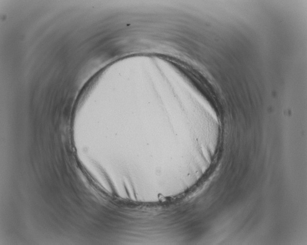 X0000065261513200603131149