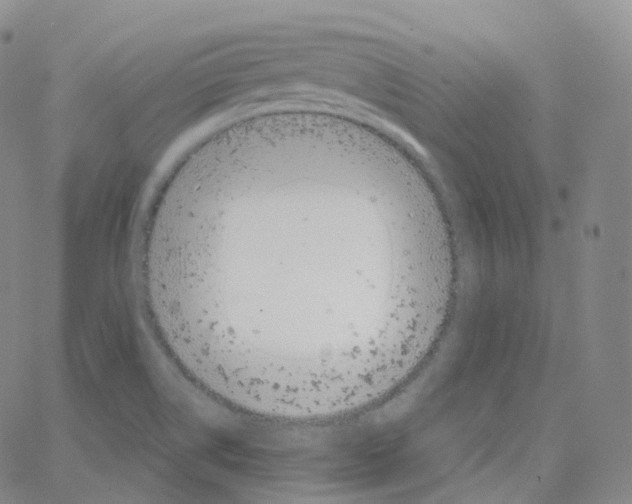 X0000065261514200603131149