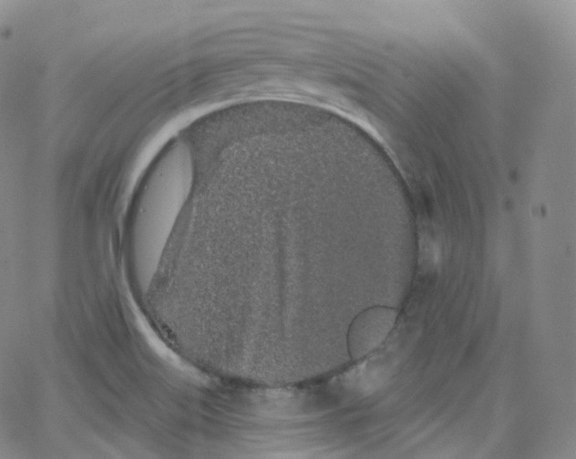 X0000065261515200603131149