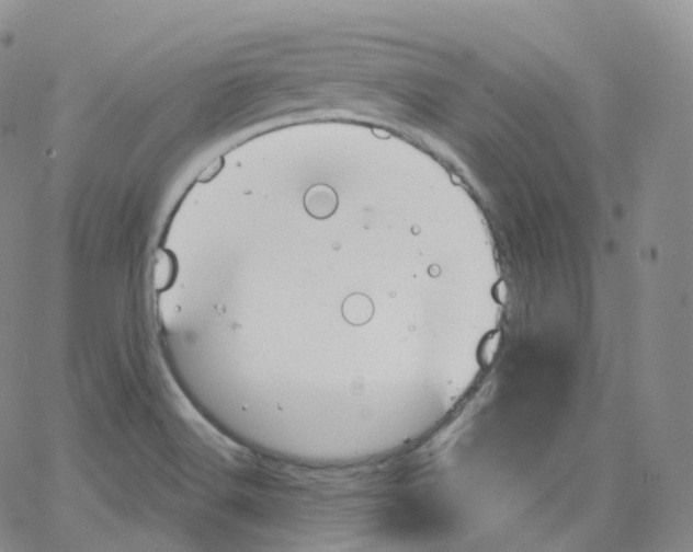 X0000065261516200603131149