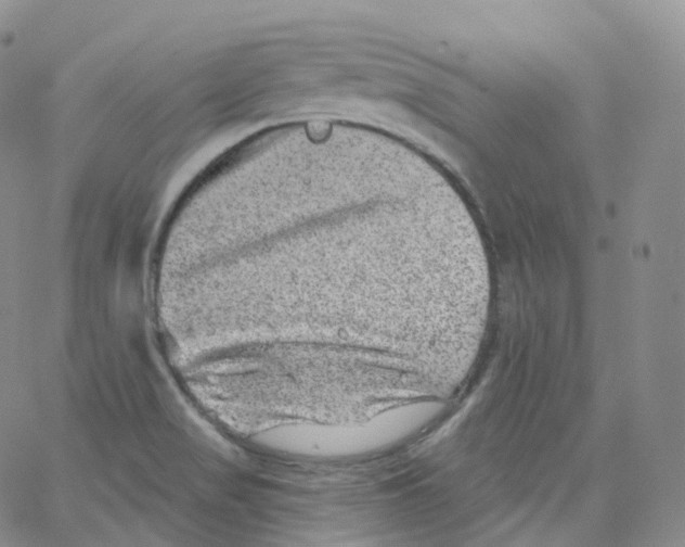 X0000065261517200603131149