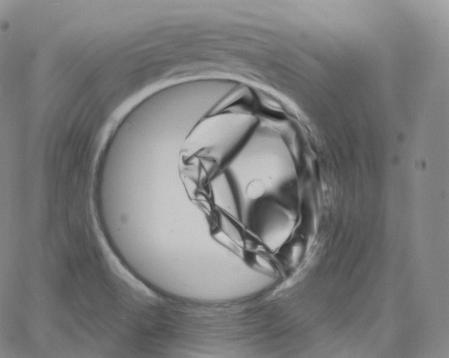 X0000065261518200603131149