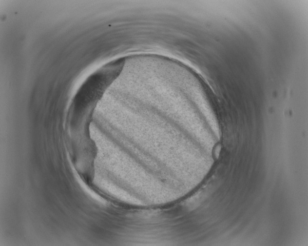 X0000065261519200603131150