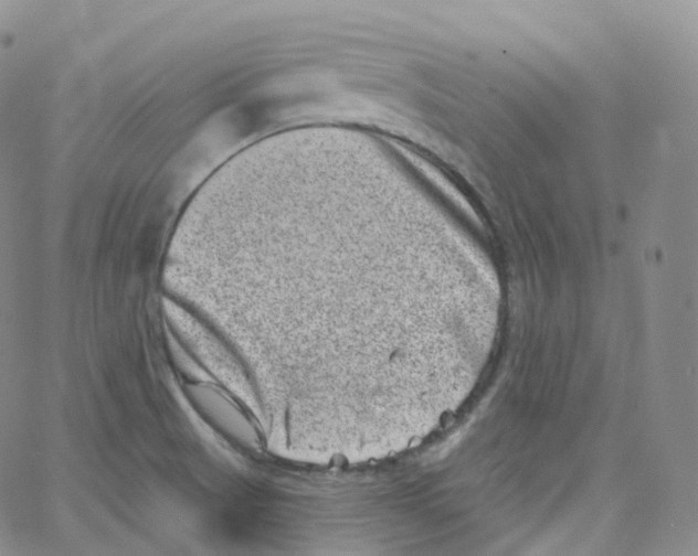 X0000065261521200603131150