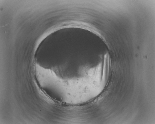 X0000065261522200603131150