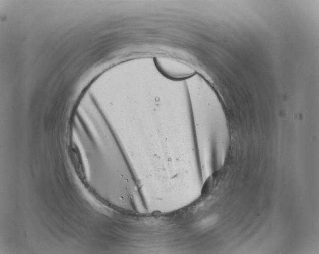 X0000065261523200603131150