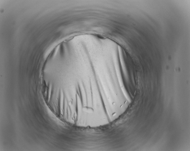 X0000065261524200603131150