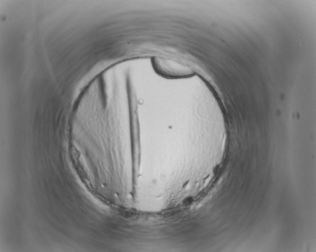 X0000065261525200603131150