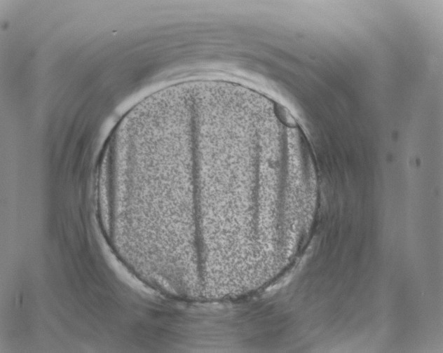 X0000065261526200603131150