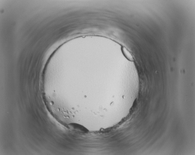 X0000065261527200603131150