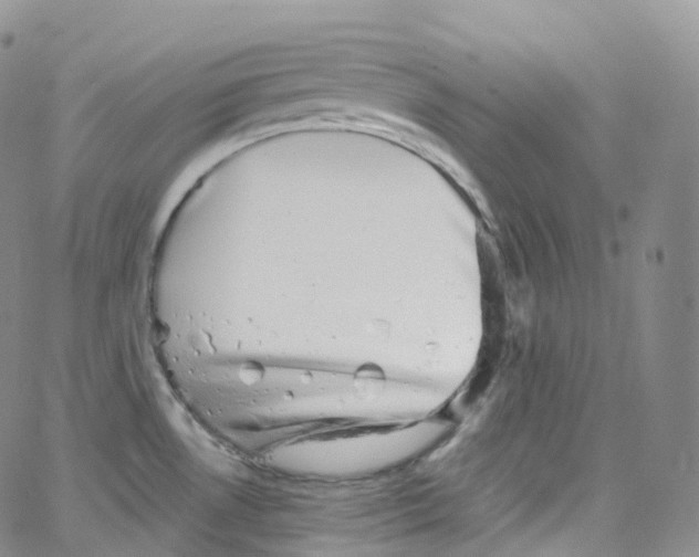 X0000065261530200603131150