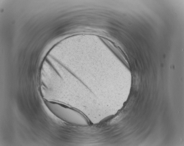 X0000065261531200603131150