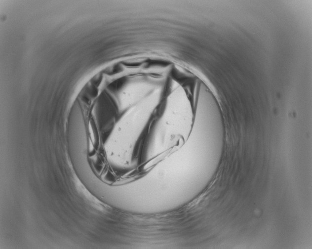 X0000065261532200603131150