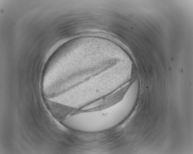 X0000065261533200603131150